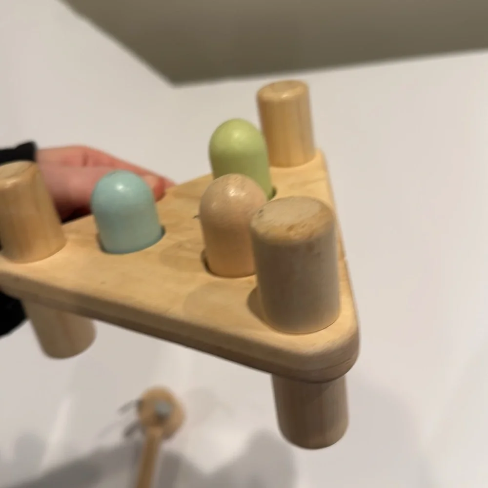 Plan Toys x pbk Watercolor Hammer‎ Head Montessori wooden
